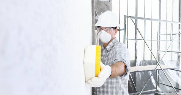 Best Mold Odor Removal Services in Brookfield Center, OH